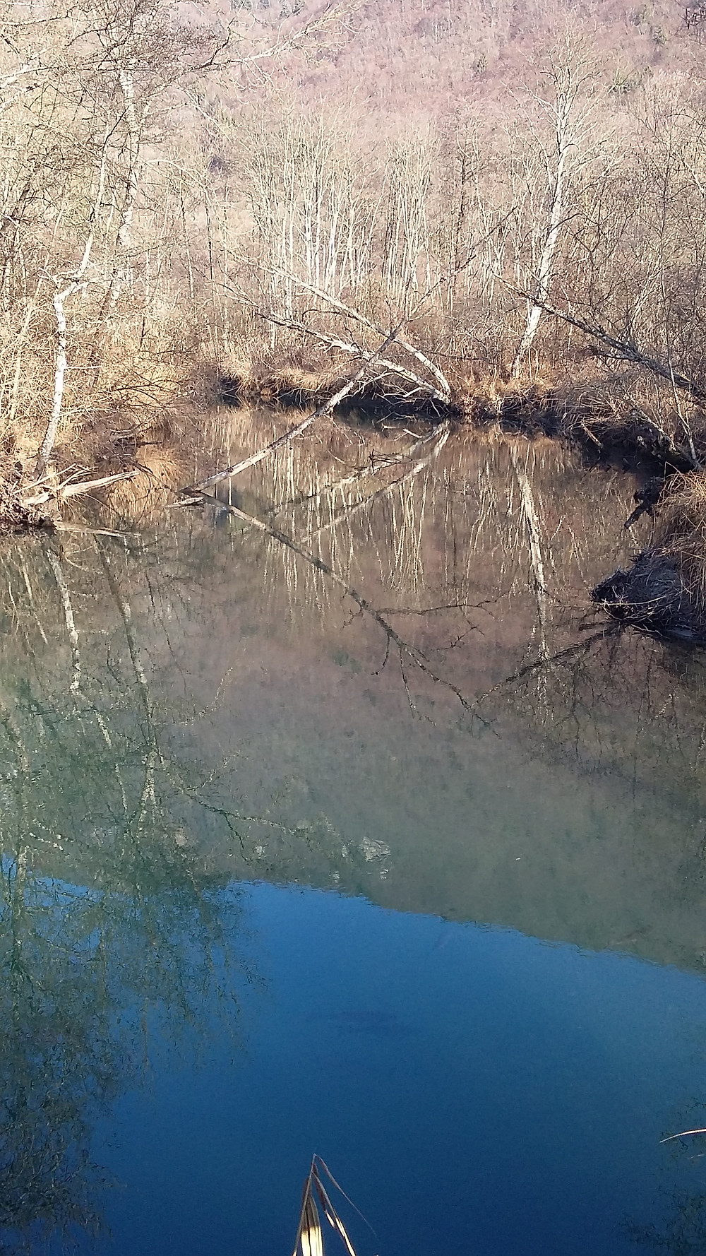 eau morte river