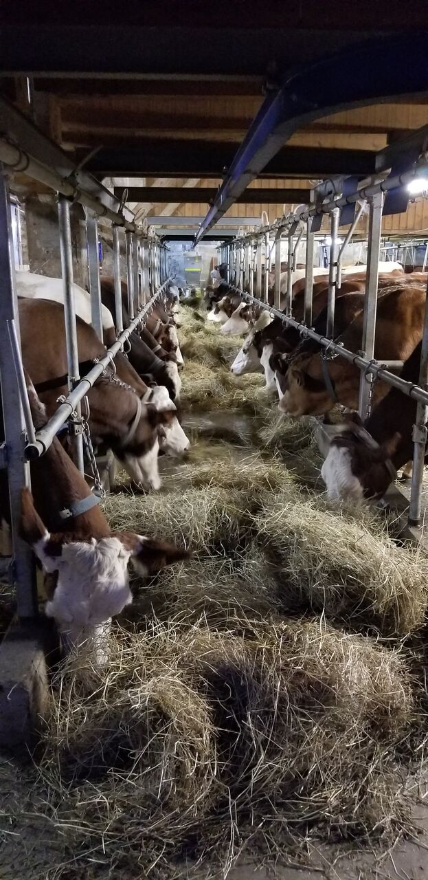 charbonniere farm