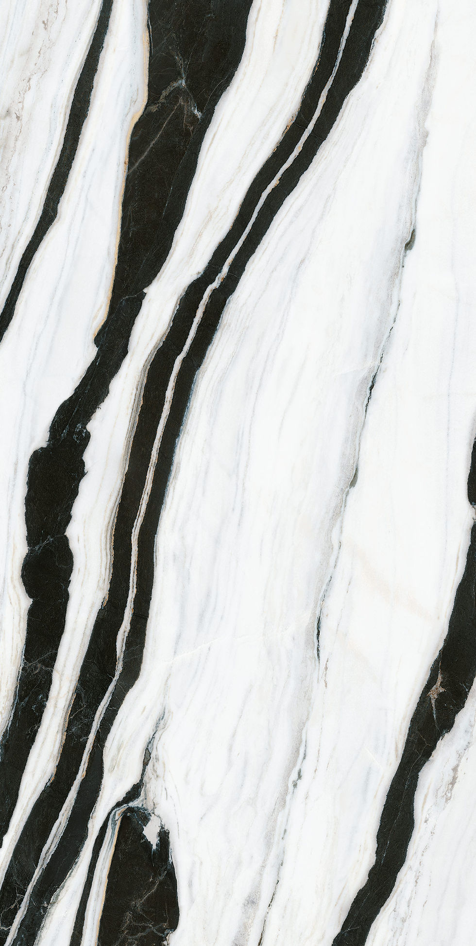 Infinity Panda White