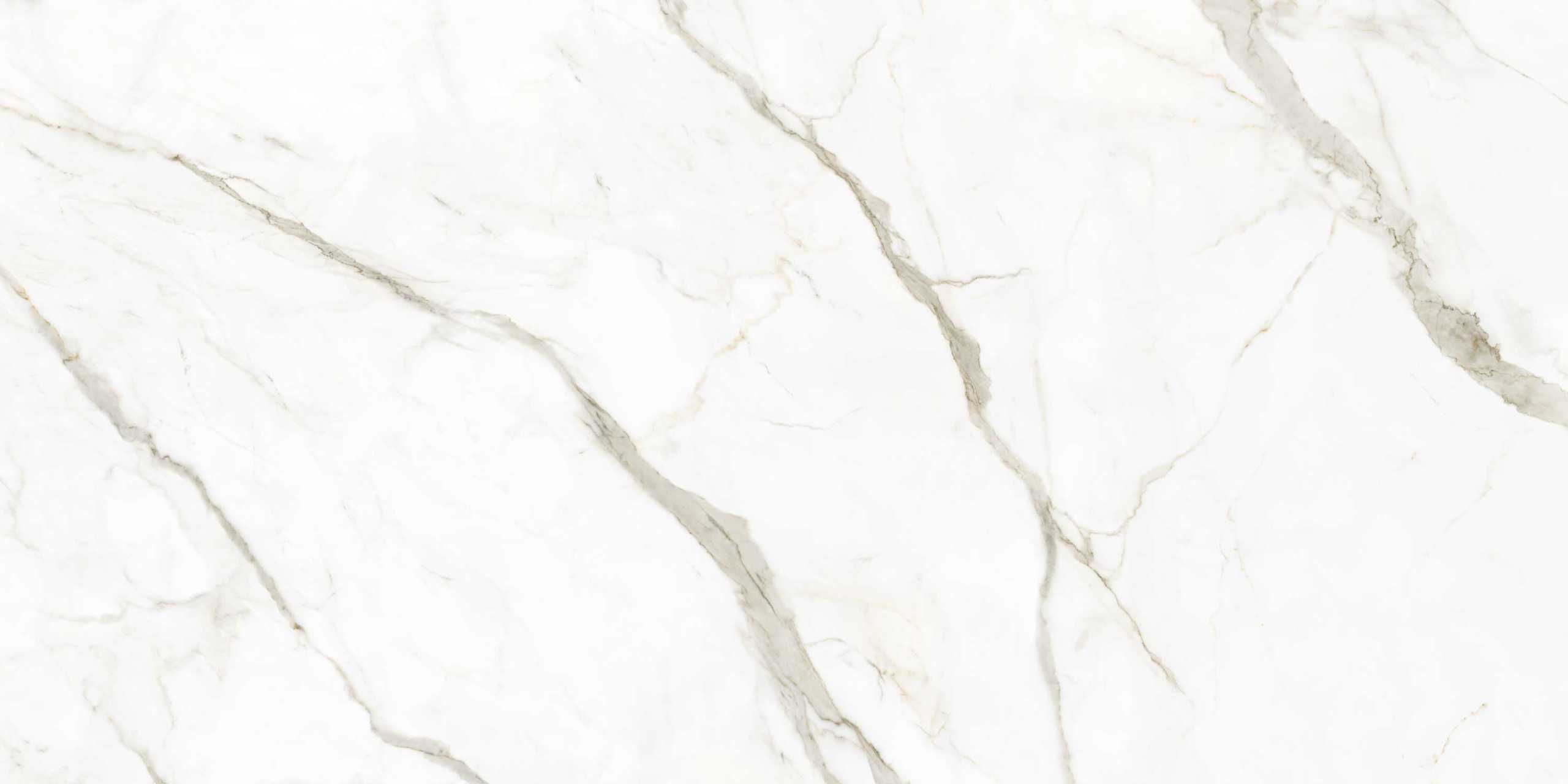 CALACATTA ORO VENATO