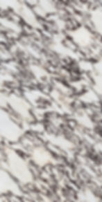 Infinity Calacatta Viola