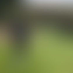 Farewell to 18 Holes (For Now!)