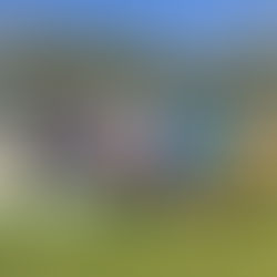 CAMPEONATO INTERESCOLAR DE ATLETISMO