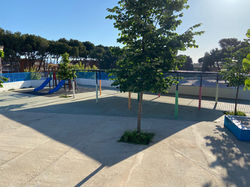 fb18efdb-237b-42e2-b809-050403fe6ebf