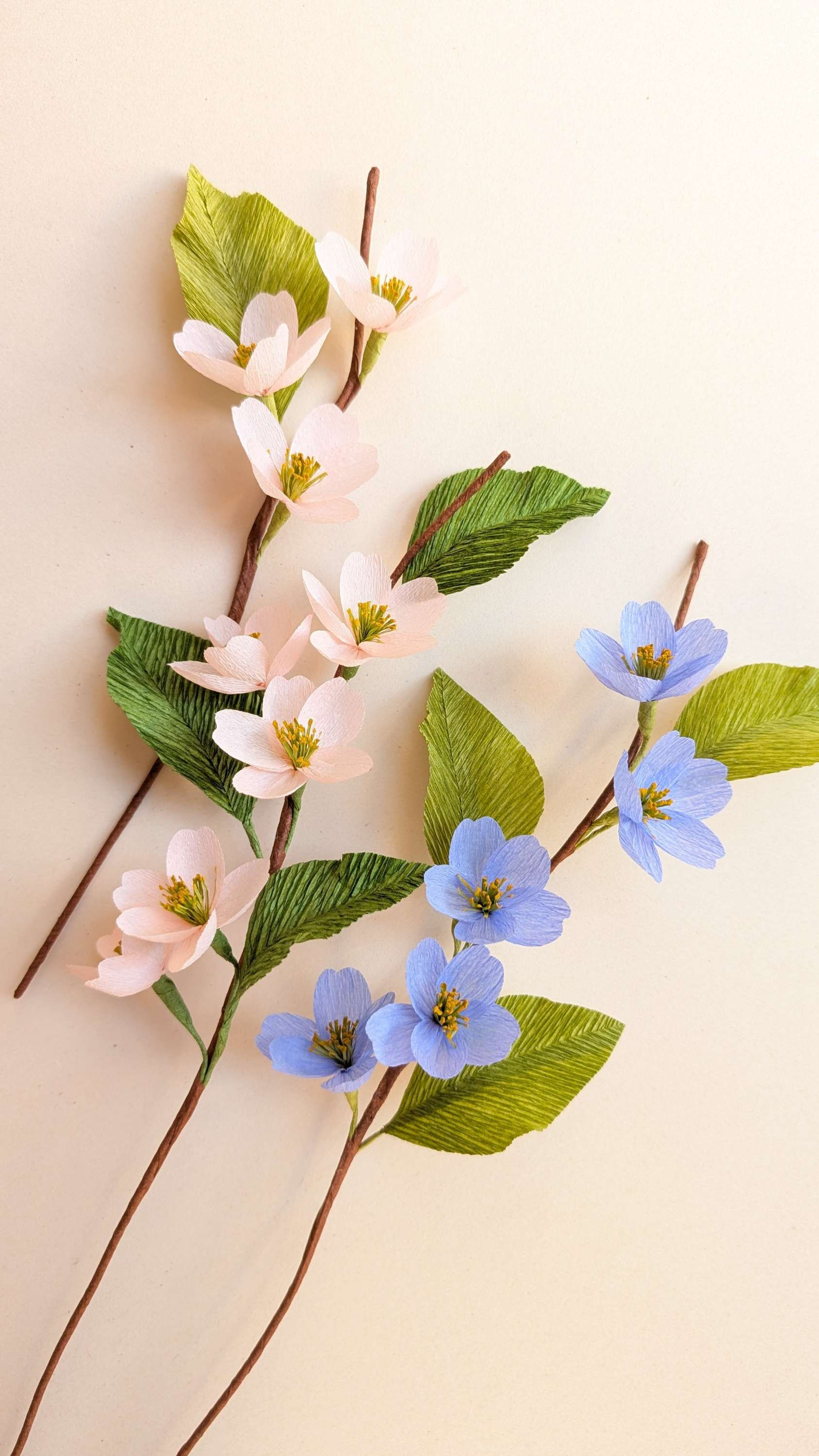 Grande branche de cerisier simple