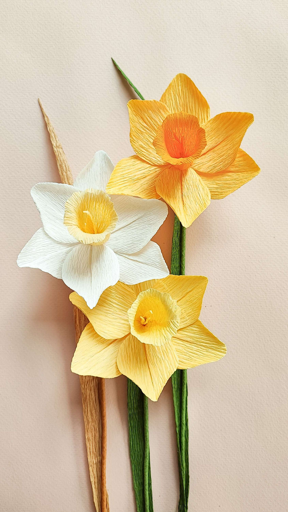 Miniature : Jonquille en papier des 3 couleurs