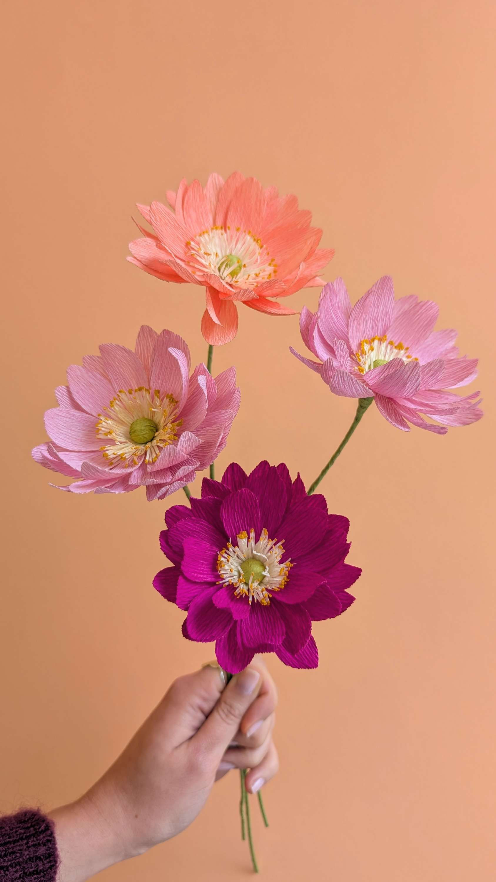 Atelier 2h - L'anémone du Japon double - Dimanche 19 avril à 14h30