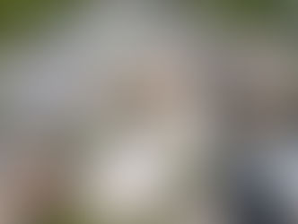 Florida y sus Alianzas en el Ecosistema Municipal