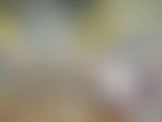 Quick Guide to Flexible Packaging