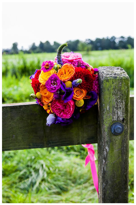 wedding colorfull 14.jpeg