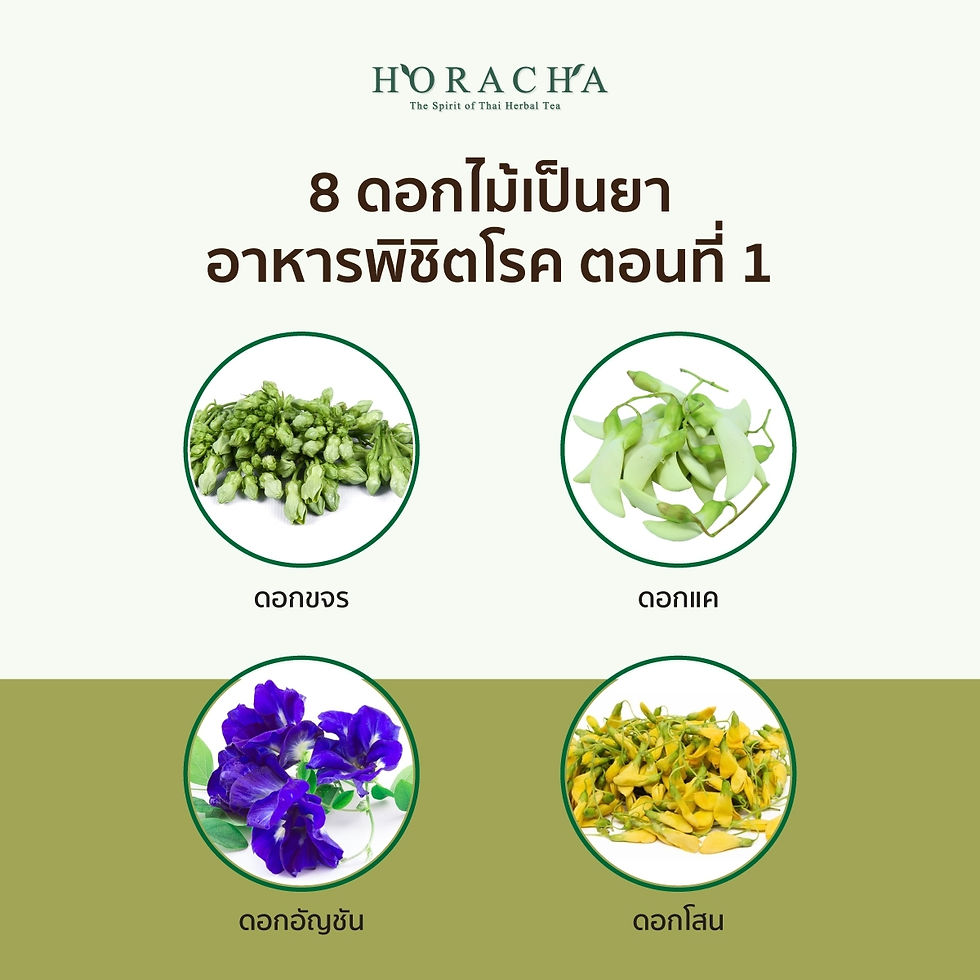 💐 8 ดอกไม้เป็นยา อาหารพิชิตโรค ตอนที่ 1