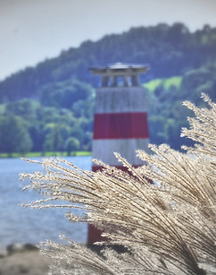lake-4560878_1280_edited.jpg
