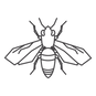 Outlined Bee Illustration_edited.png