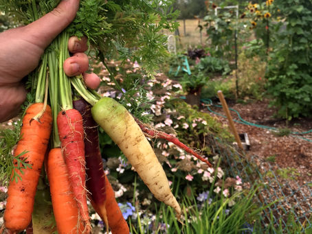 FROM THE GARDEN