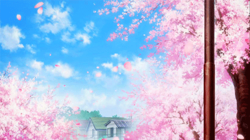 sakura.gif