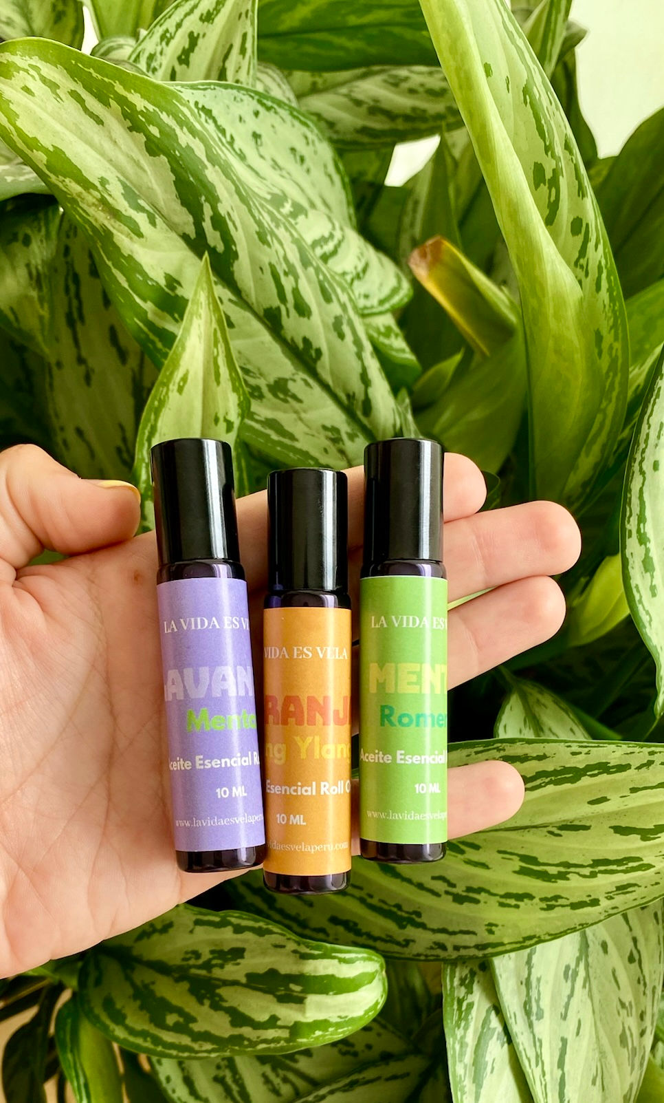Miniatura: Roll On Aromaterapéutico 