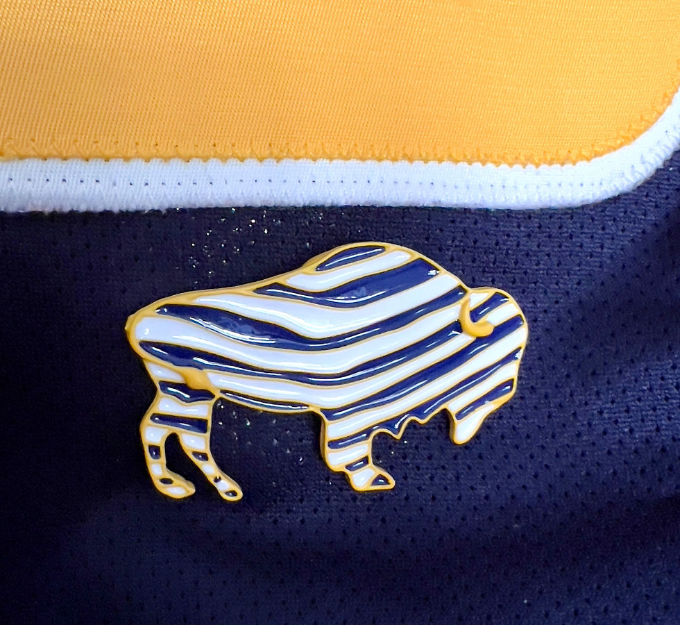 Thumbnail: Buffalo Hockey