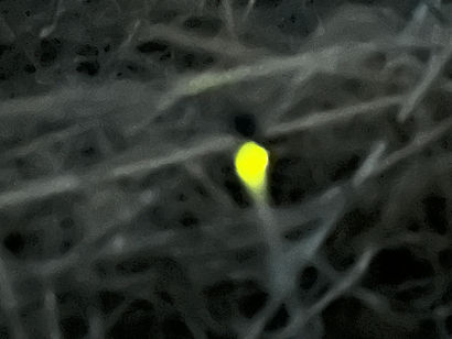 260521-3.jpeg
