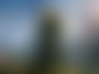 Halo Infinite Next Week's Updates Announced