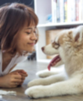 Une fille et son chien