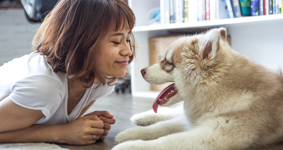 A girl and her dog