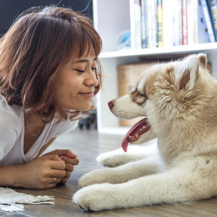10 Essential Things You Should Know Before Getting a Dog
