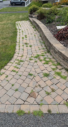 pavé uni