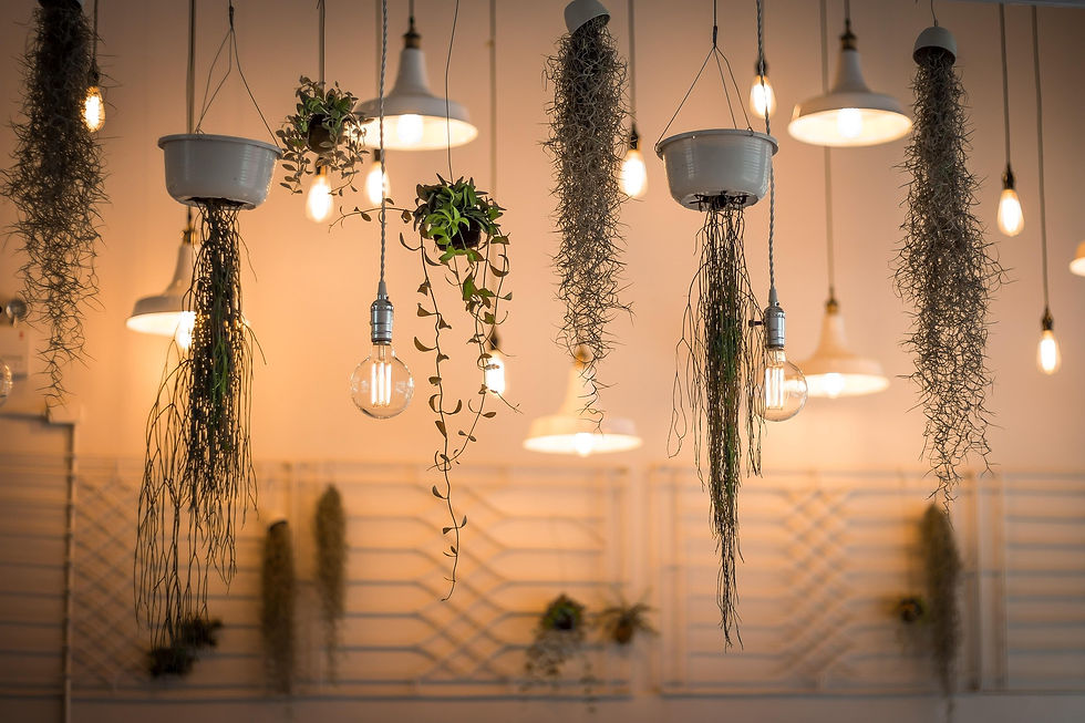 pexels-lights-1867437_1920.jpg
