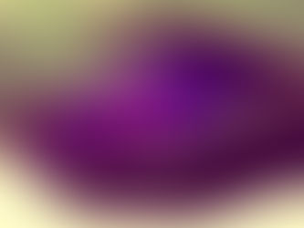 Le 5 ferite dell'anima