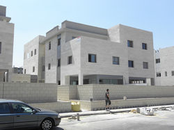 הרבסט קרול תל אביב