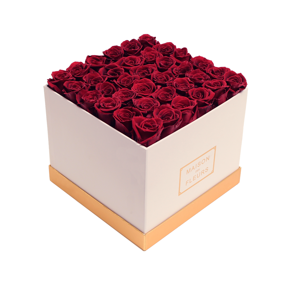 Red Wine Eternity Roses Large White Square