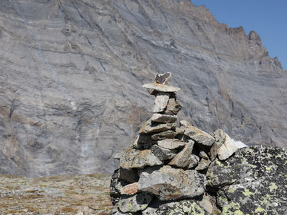 Landscape Initiatives deserve corporates' attention.