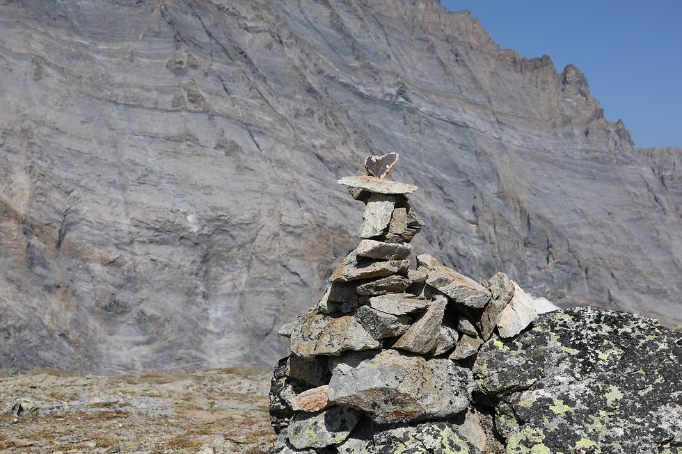 Landscape Initiatives deserve corporates' attention.