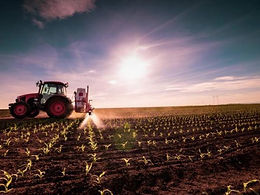 El compromiso de la multinacional Yara con la seguridad alimentaria del país