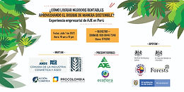 ¿Cómo lograr negocios rentables usando el bosque de manera sostenible?