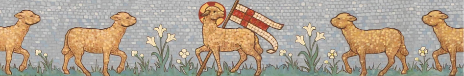 sheeps.PNG