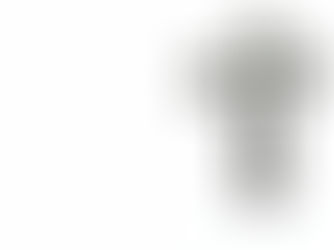 A SOMEWHAT DIFFERENT ASH WEDNESDAY THIS YEAR