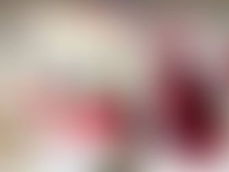 11月16日(日)サンタパレード東京にサンタ出演決定！