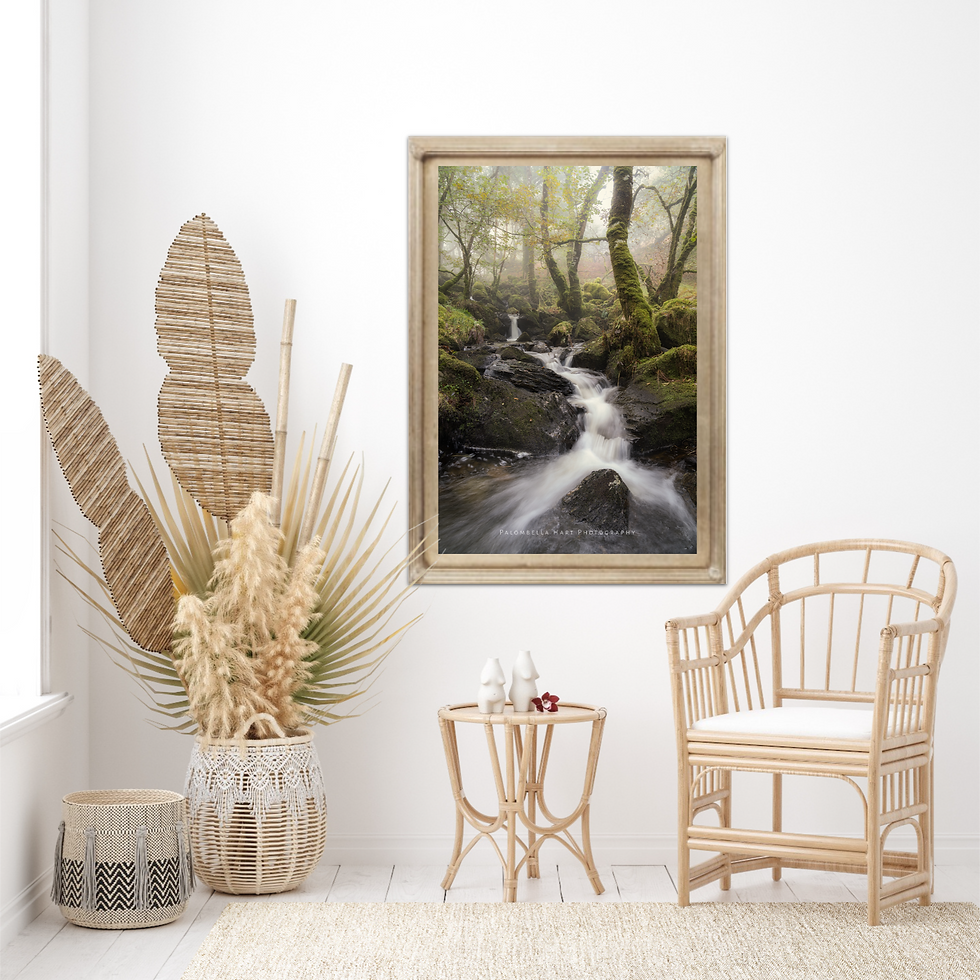 Thumbnail: Misty Woodland Stream photograph