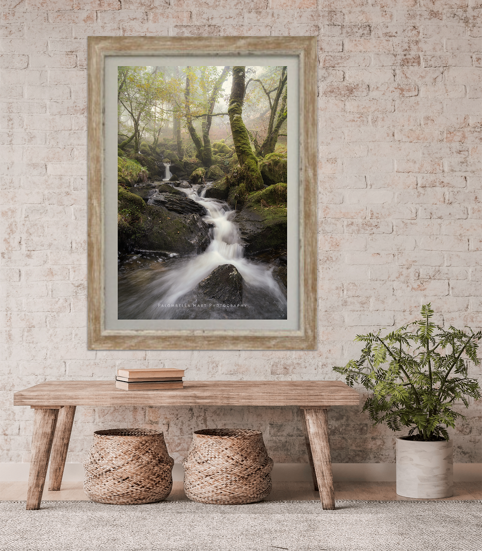 Thumbnail: Misty Woodland Stream photograph