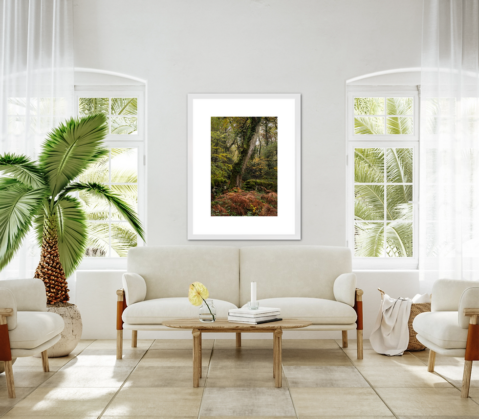 Thumbnail: Autumn Forest Colours