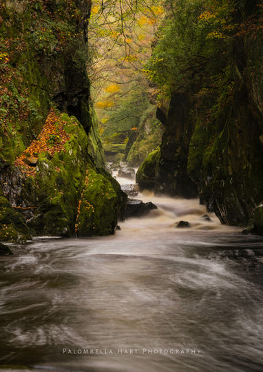 Fairy Glen Gorge in autumn