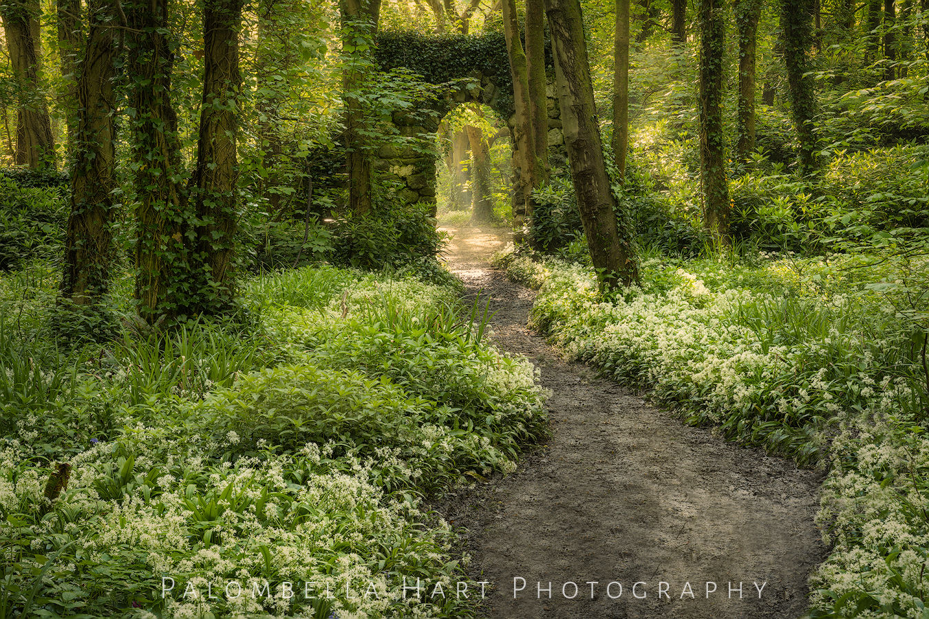 Penrhos Secret Garden Photograph