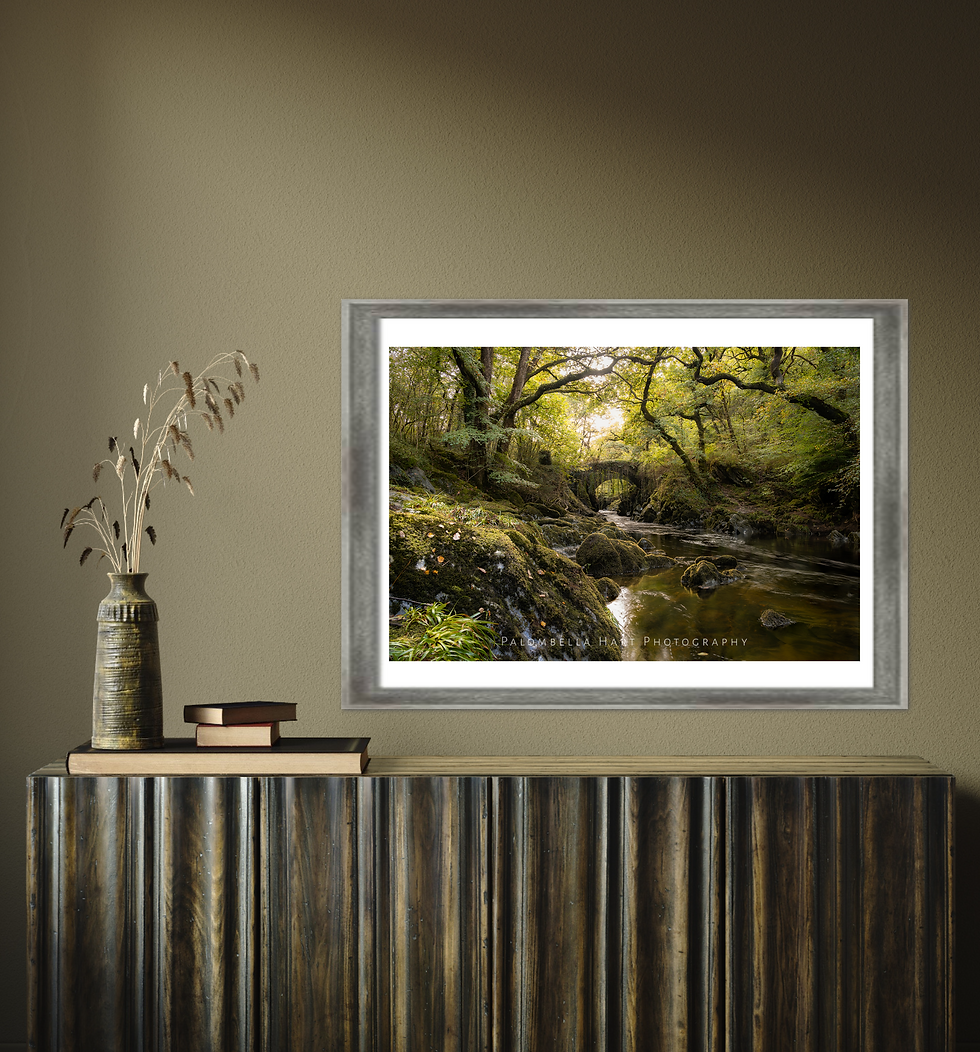 Miniaturbild: Old Packhorse Bridge in Autumn Colour photograph in a light wooden frame hanging on a gallery room wall