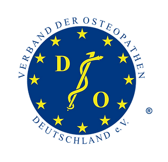 VOD Logo groß
