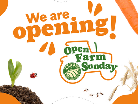 Open Farm Sunday 2025
