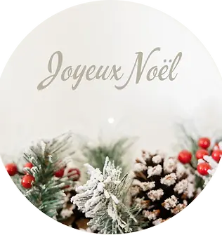 JOYEUXNOELGIVREPOMMEDEPIN.webp