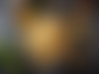 Shatavari: The Queen of Herbs in Your Golden Latte