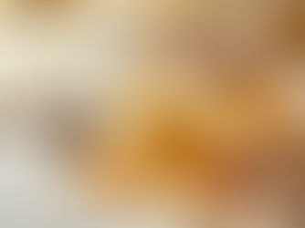 The Science Behind Premium Wellness Blends