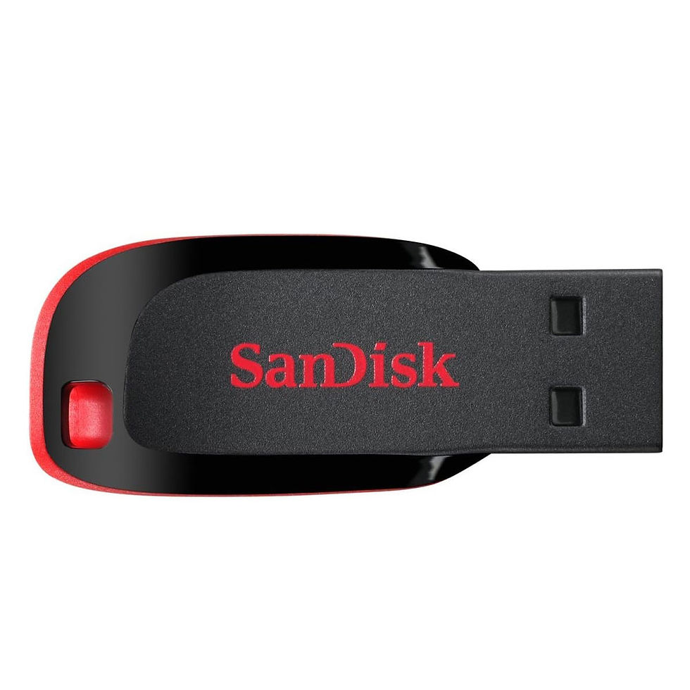 SanDisk 128 GB Cruzer Blade Usb Flash Drive
